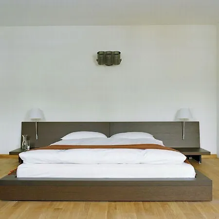 Hotel Design Plattenhof 3*
