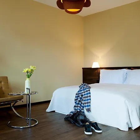 מלון Design Plattenhof 3*